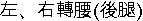 ���B�k��y(��L)